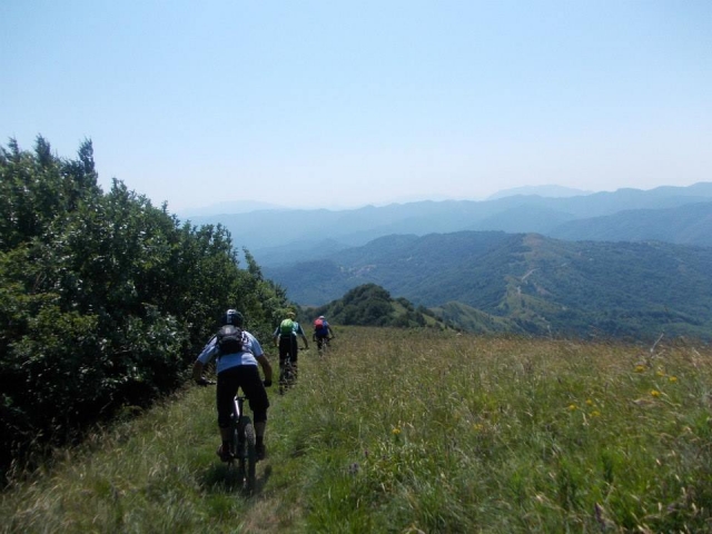Percorso in bici
